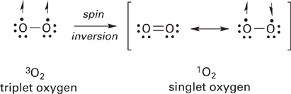 Radical Chemistry | Basicmedical Key