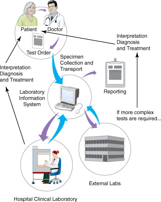 Laboratory Diagnosis of Viral Diseases and Working with Viruses in the Research Laboratory