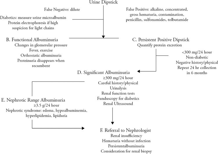 Parenchymal Renal Disease Basicmedical Key