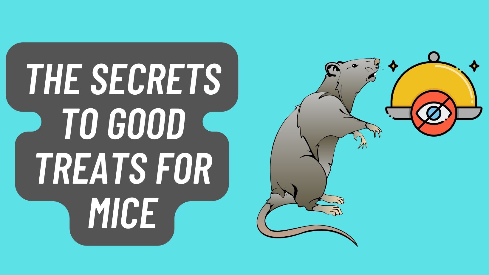 The Secrets To GOOD TREATS FOR MICE Basic Rodents