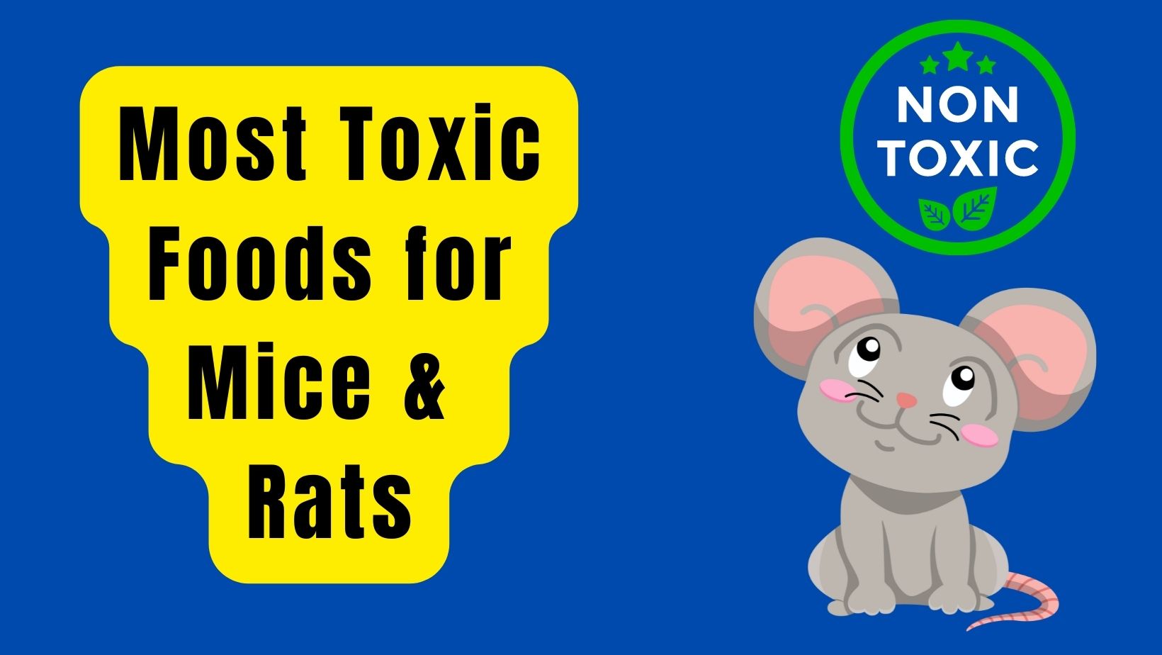 10 Most Toxic Foods for Mice and Rats Basic Rodents