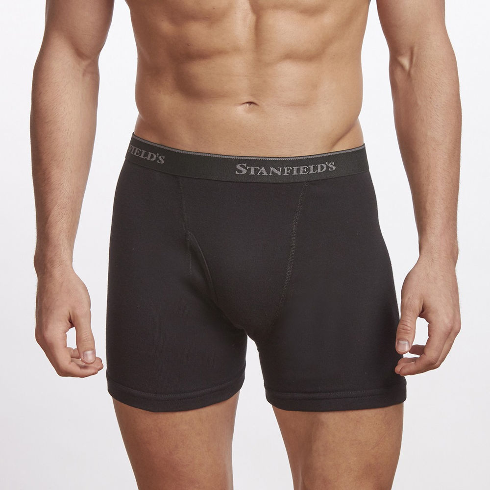 Stanfield’s 2 Pack Boxer Brief 100 cotton 2516 Basics by Mail