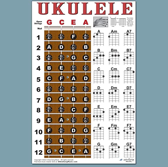Chords on Ukulele all about it. Which to learn and how to play