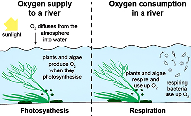 Dissolved Oxygen in Water