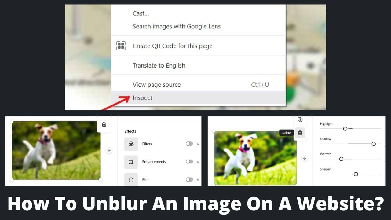 How To Unblur An Image On A Website? BasicWebGuide