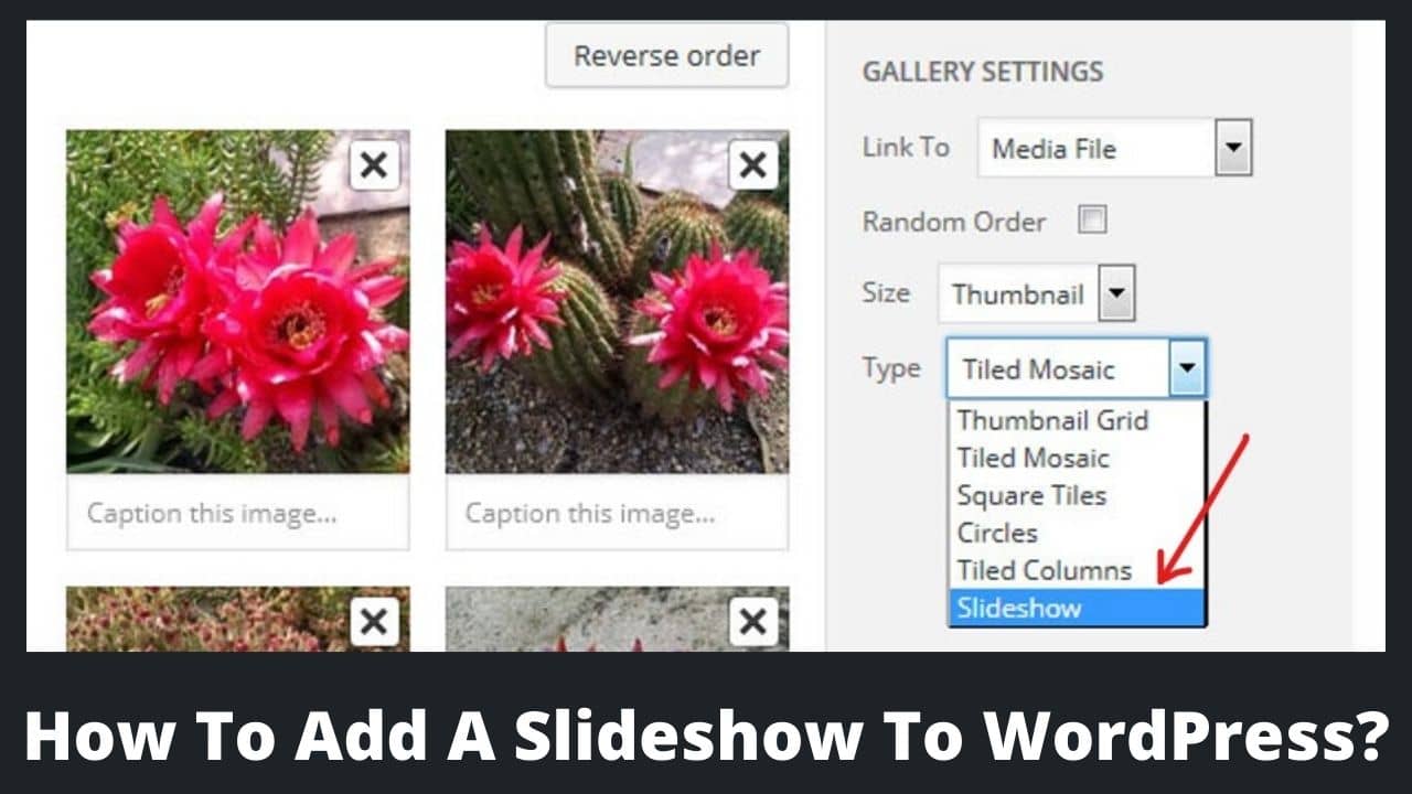 How To Add A Slideshow To WordPress site? BasicGuide