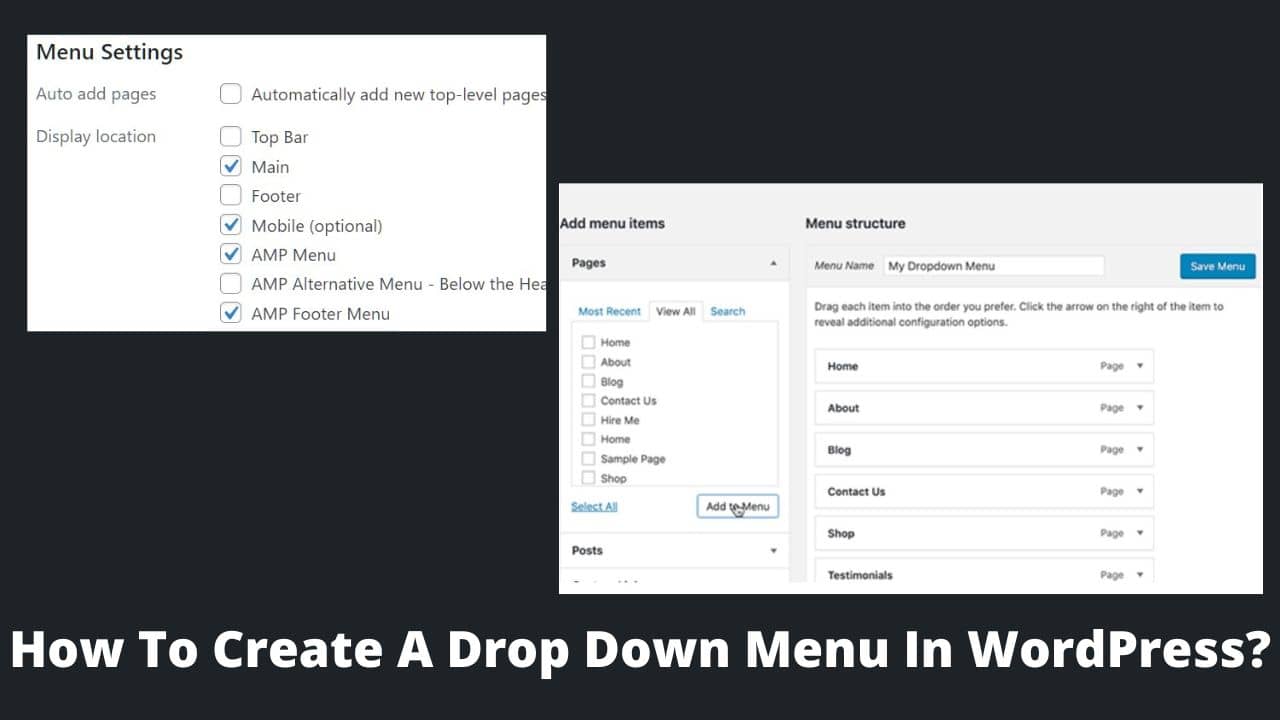 How To Create A Drop Down Menu In WordPress? BasicGuide