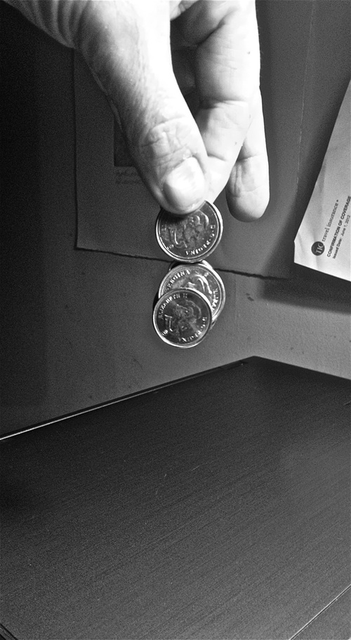 Money attracts money basil.CA