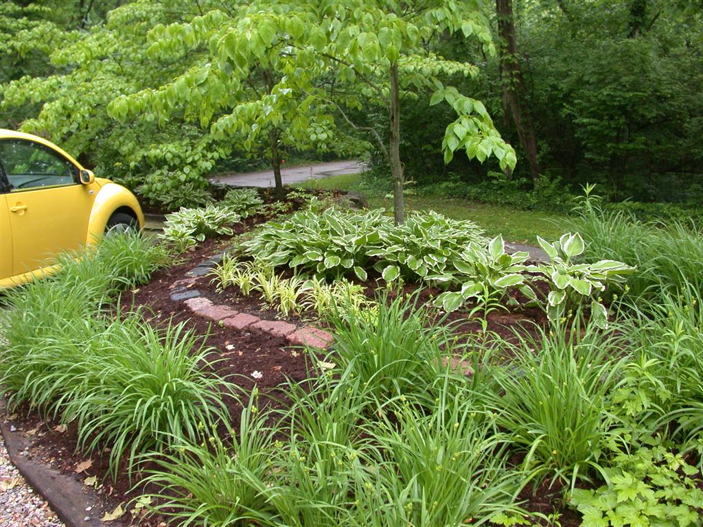 Services Basile Landscaping