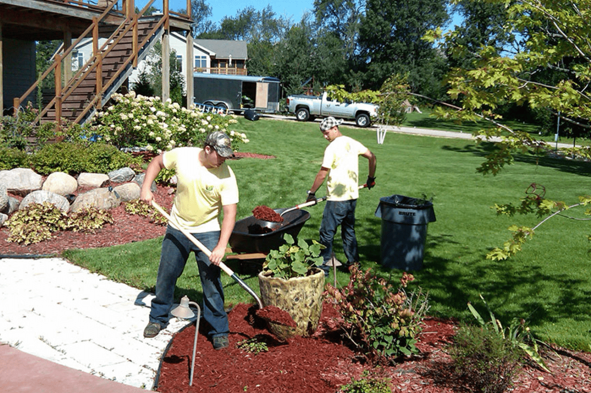 Basil Green Landscaping Professional Lawn Cutting company