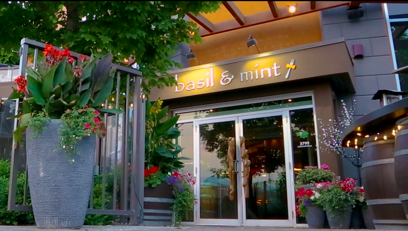 Basil patio 2 Basil and Mint