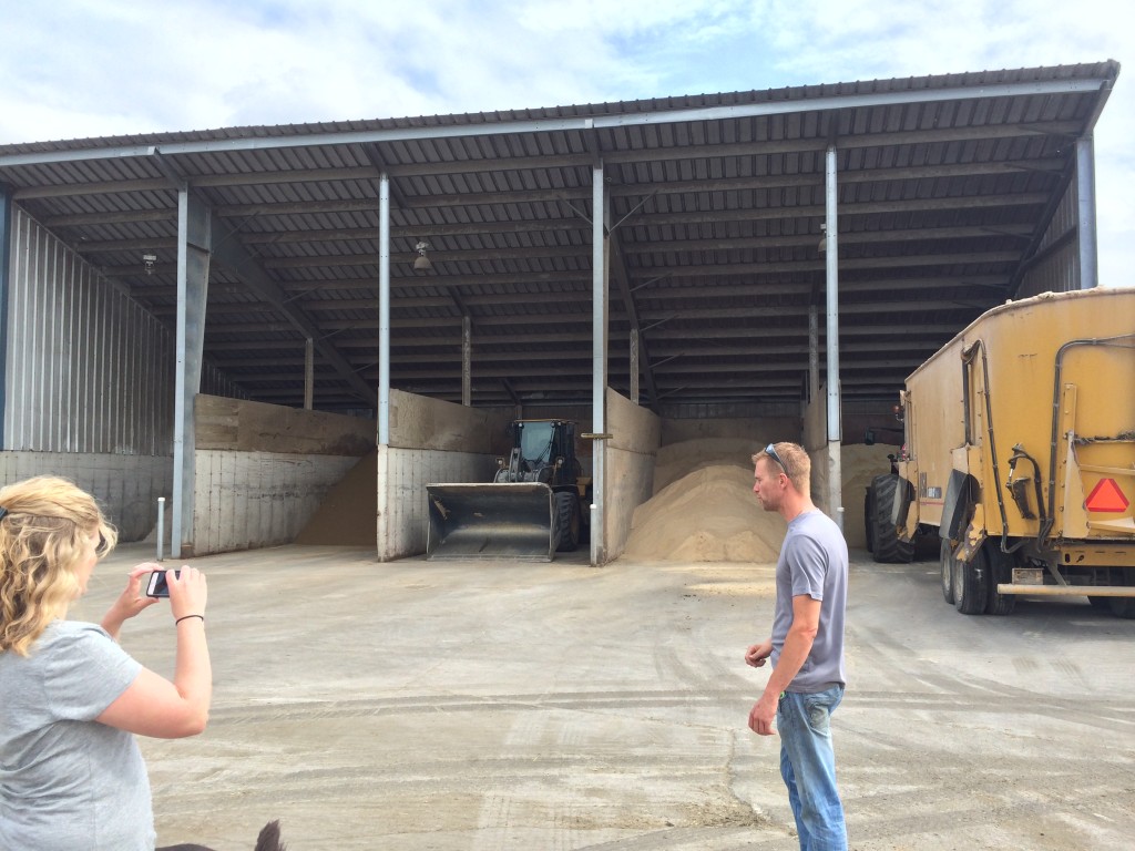 A Visit to Indiana Four Leaf Clover Dairy Basilmomma