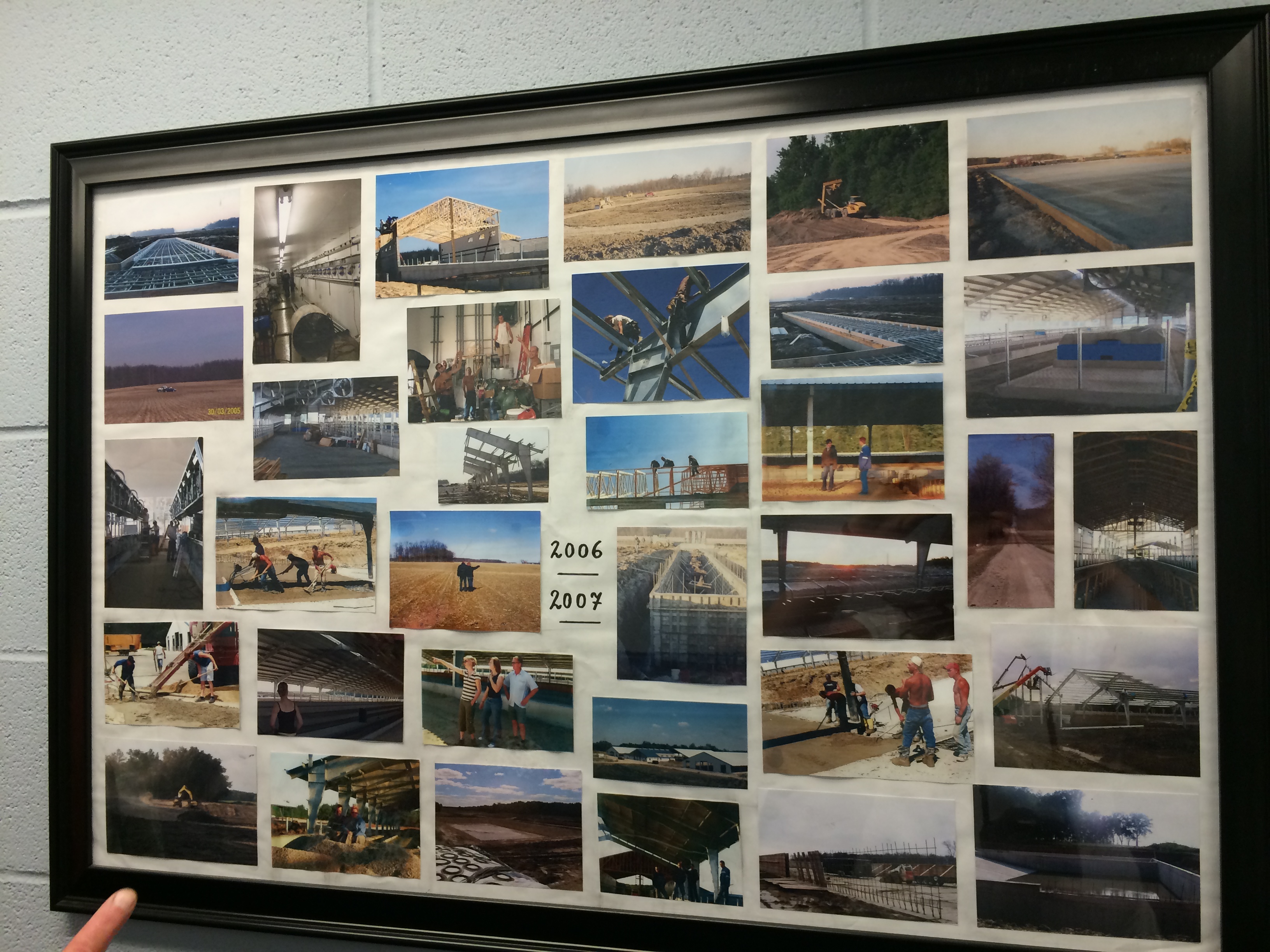 A Visit to Indiana Four Leaf Clover Dairy Basilmomma