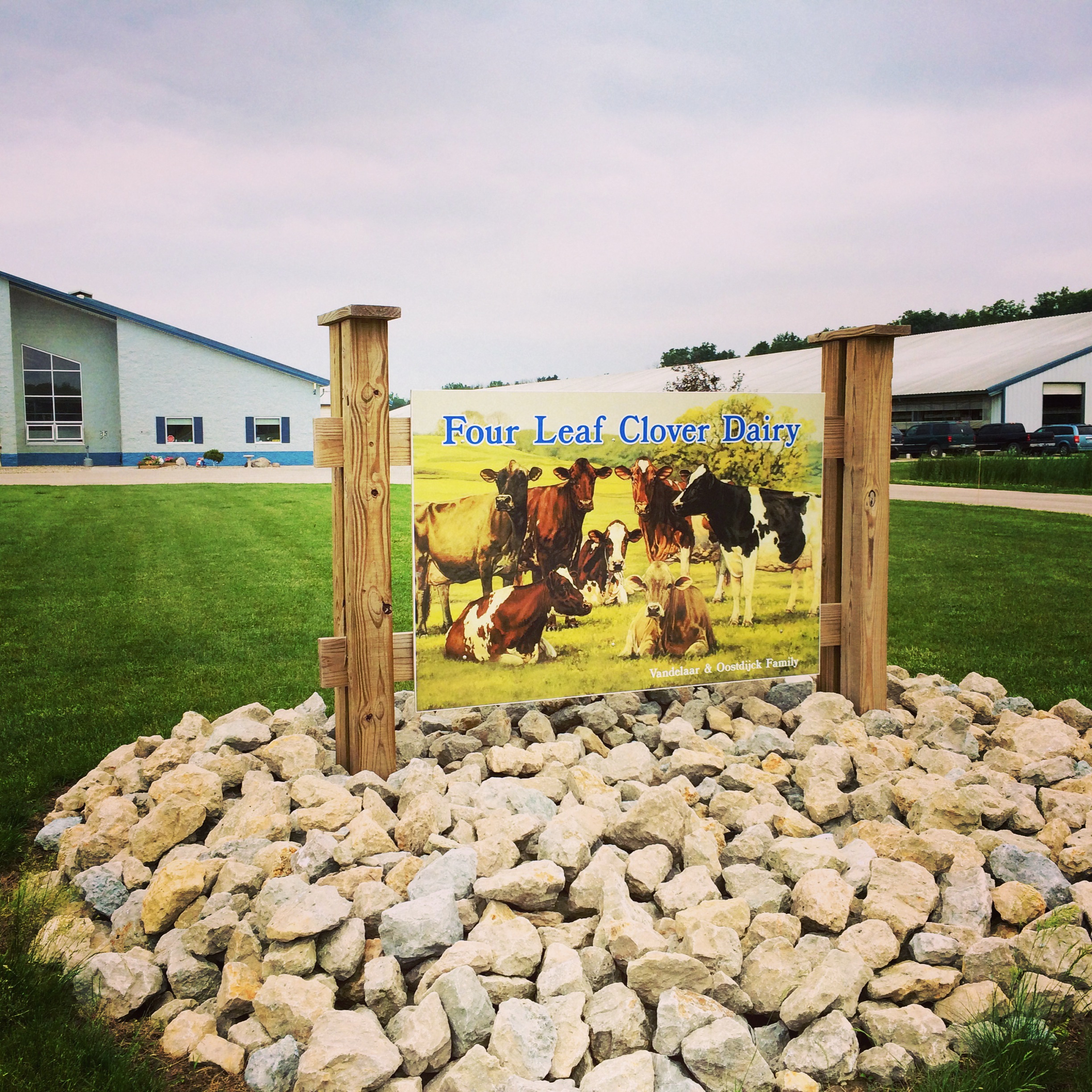 A Visit to Indiana Four Leaf Clover Dairy Basilmomma