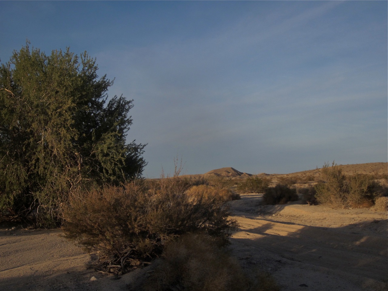 Imperial Valley CA solar Ocotillo wind