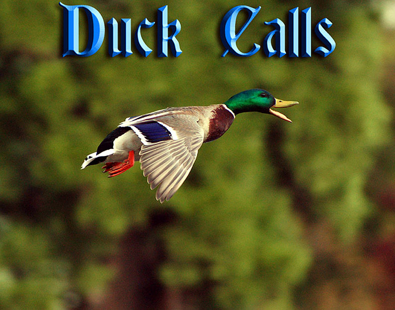 Duck Calls By Basin Waterfowl Calls