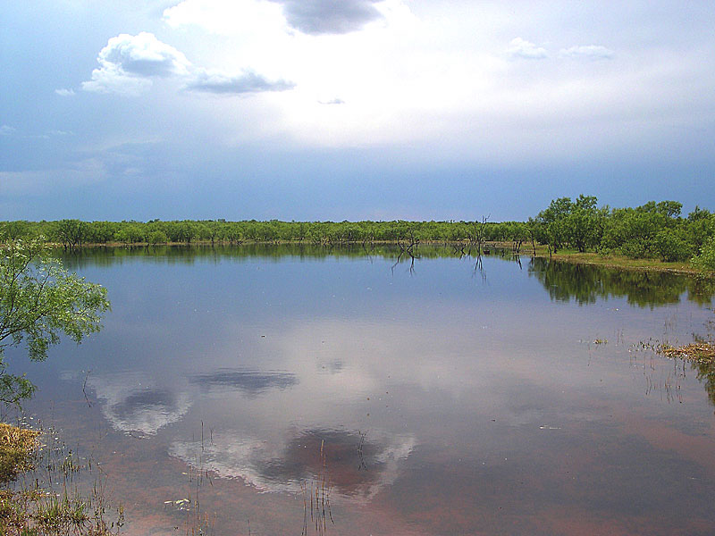 Texas Ranch Real Estate J. Martin Basinger Companies, Inc.