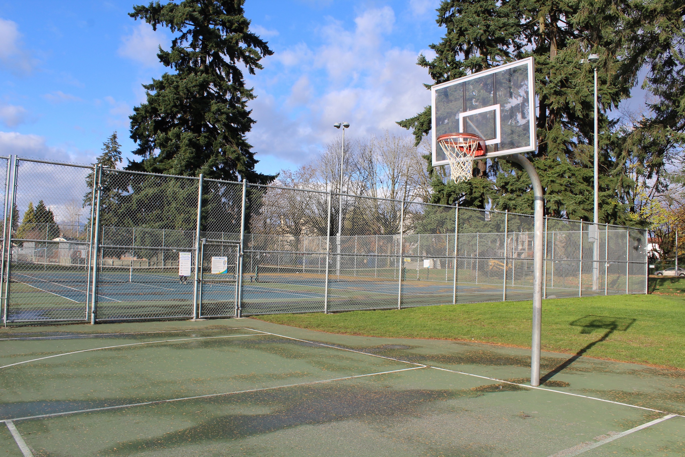 New Westminster Basketball604
