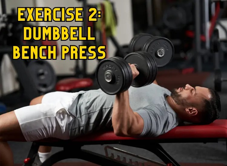 Upper Body Workouts for Basketball Players Basketball Savvy