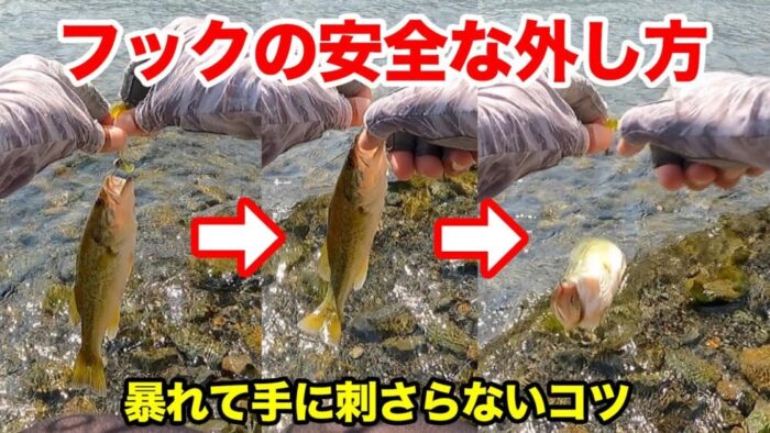 小バスのフックを安全に外す方法【 バス釣り 】 エナジー福田のバス釣りブログ