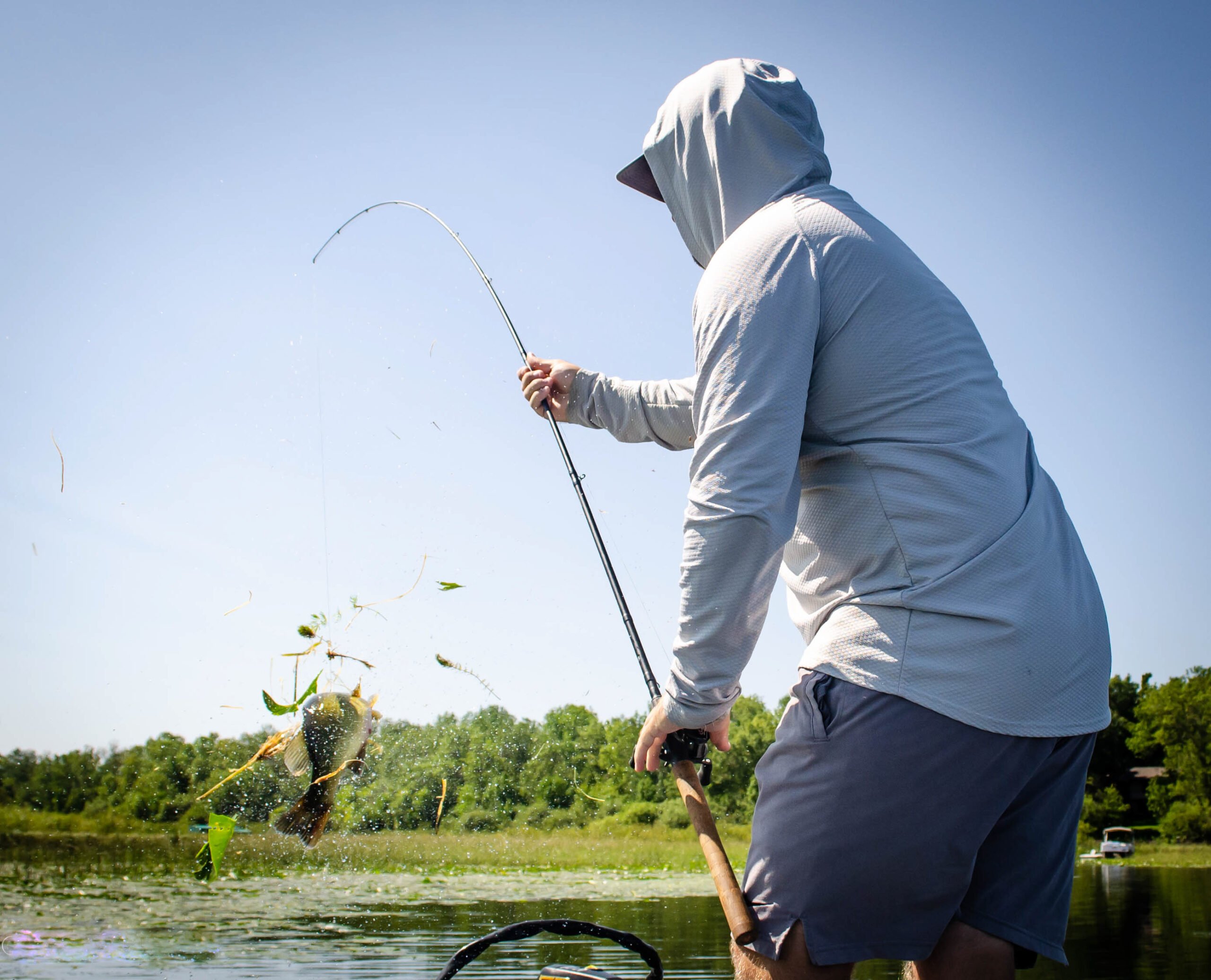 Topwater Frog Fish Bass Angler Magazine