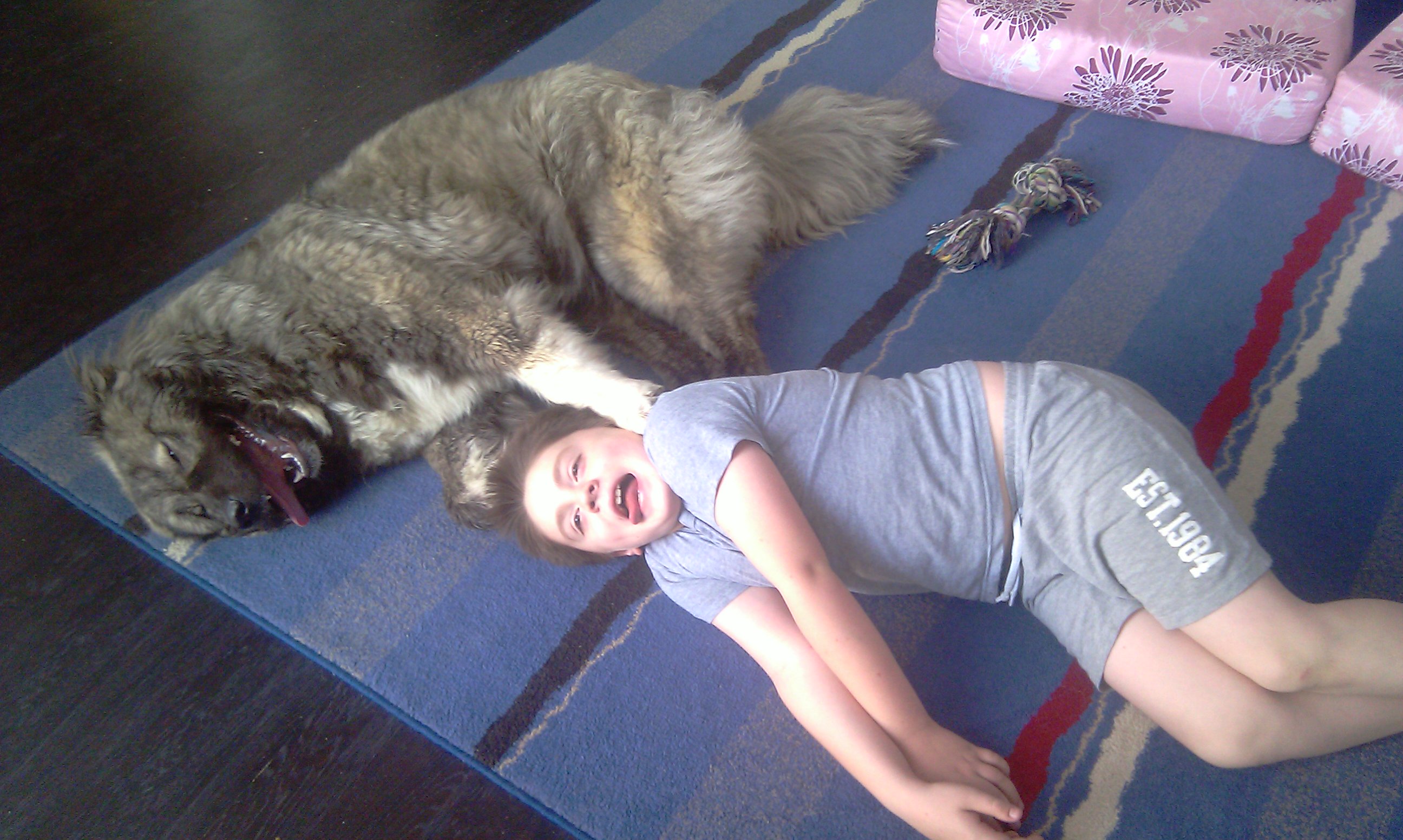 Are Puppies Supposed To Be Hot