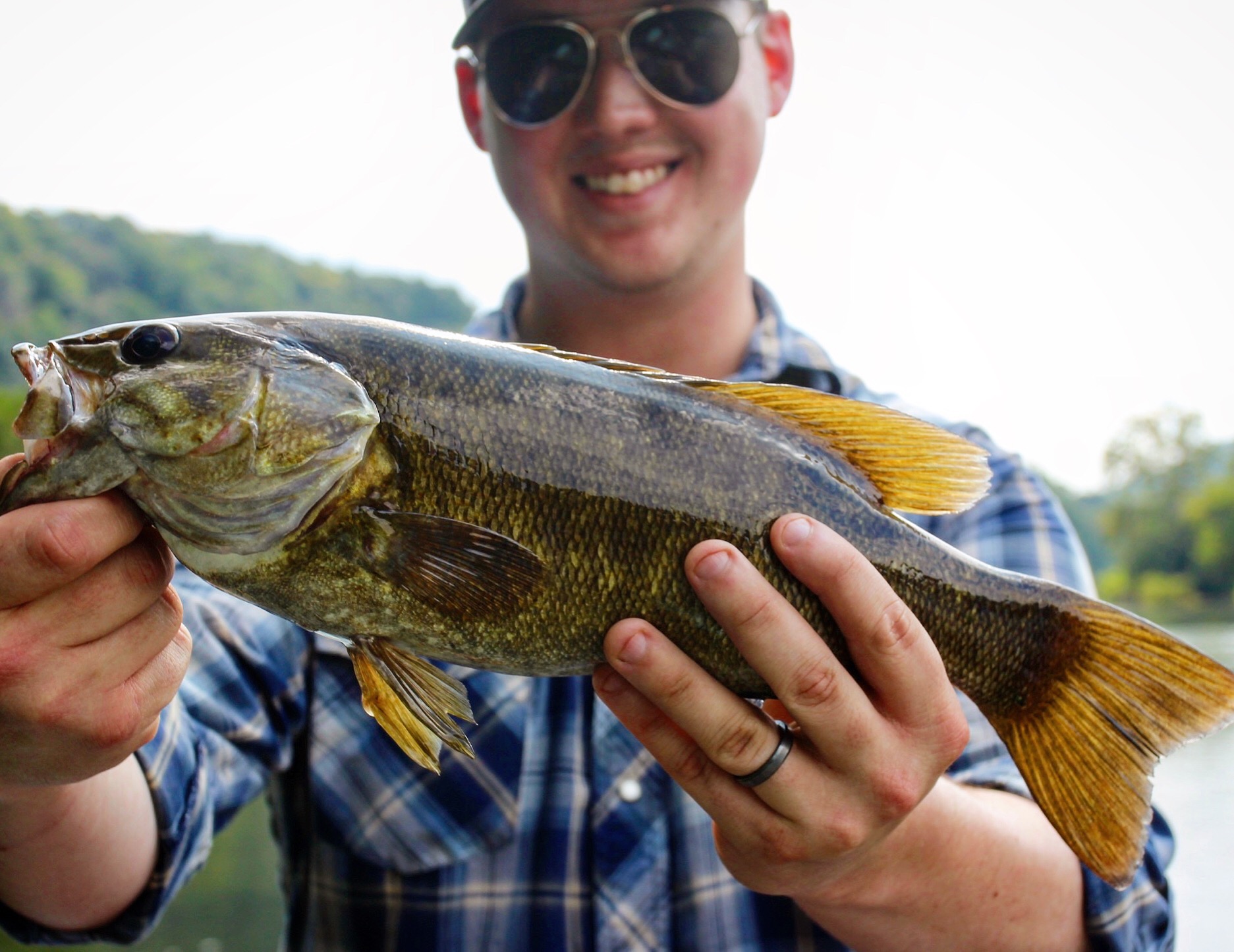 The Guide to Beginner Bass Fishing On a Fly Rod Bass Edge