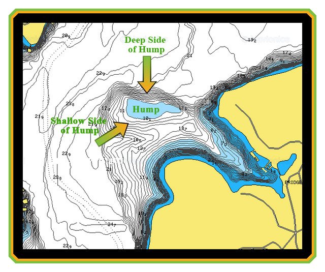 Brush Piles, Structure, And Much More Bassing Bob