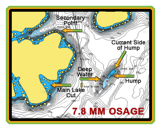 Brush Piles, Structure, And Much More Bassing Bob