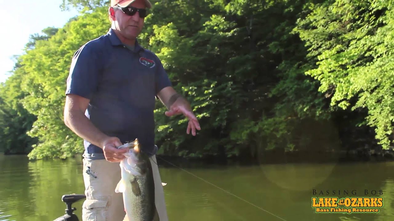 Bluff Fishing Video Teaser Bassing Bob