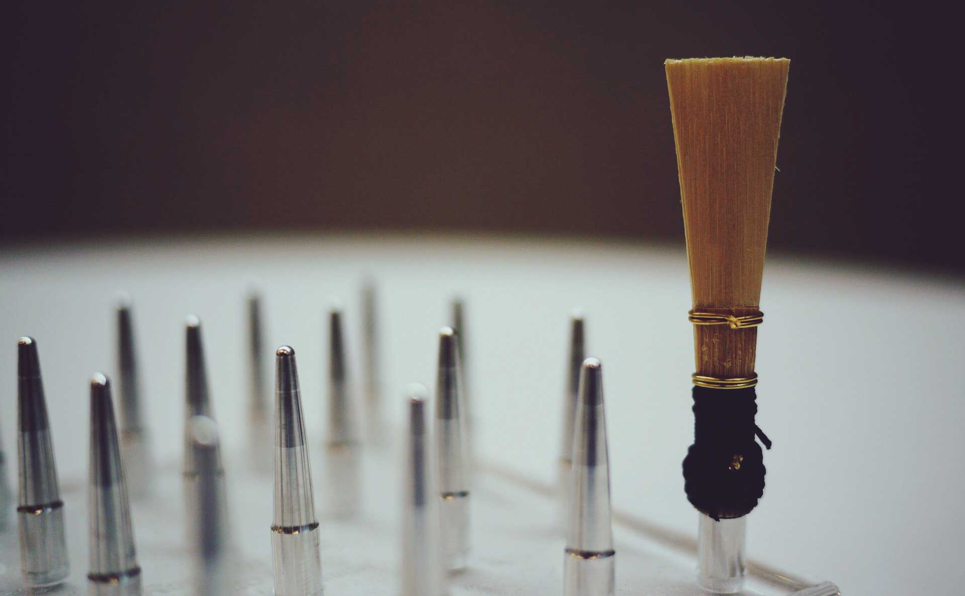 Bassoon Reeds Bassoons.ch