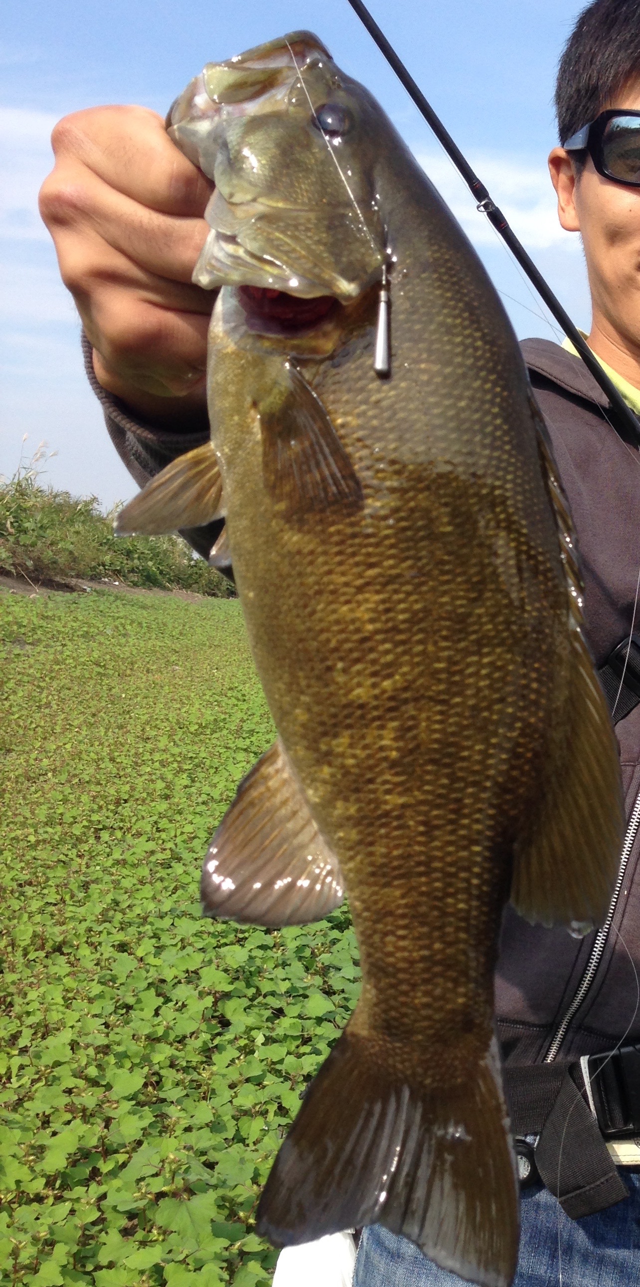 バス釣り ポイント 茨城県 小貝川 秋の荒食い 釣果 BASS Magazine