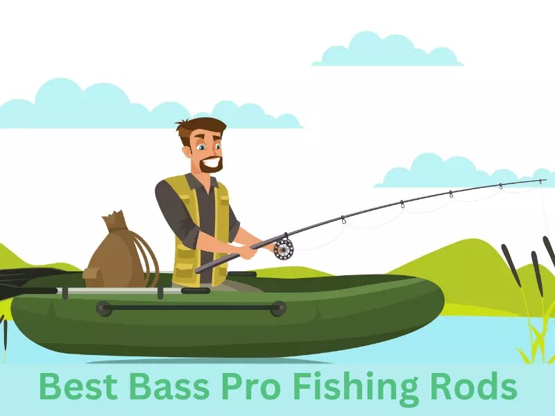 Bass Pro Fishing Rods Top Picks for Every Angler » Bass Pro Fans