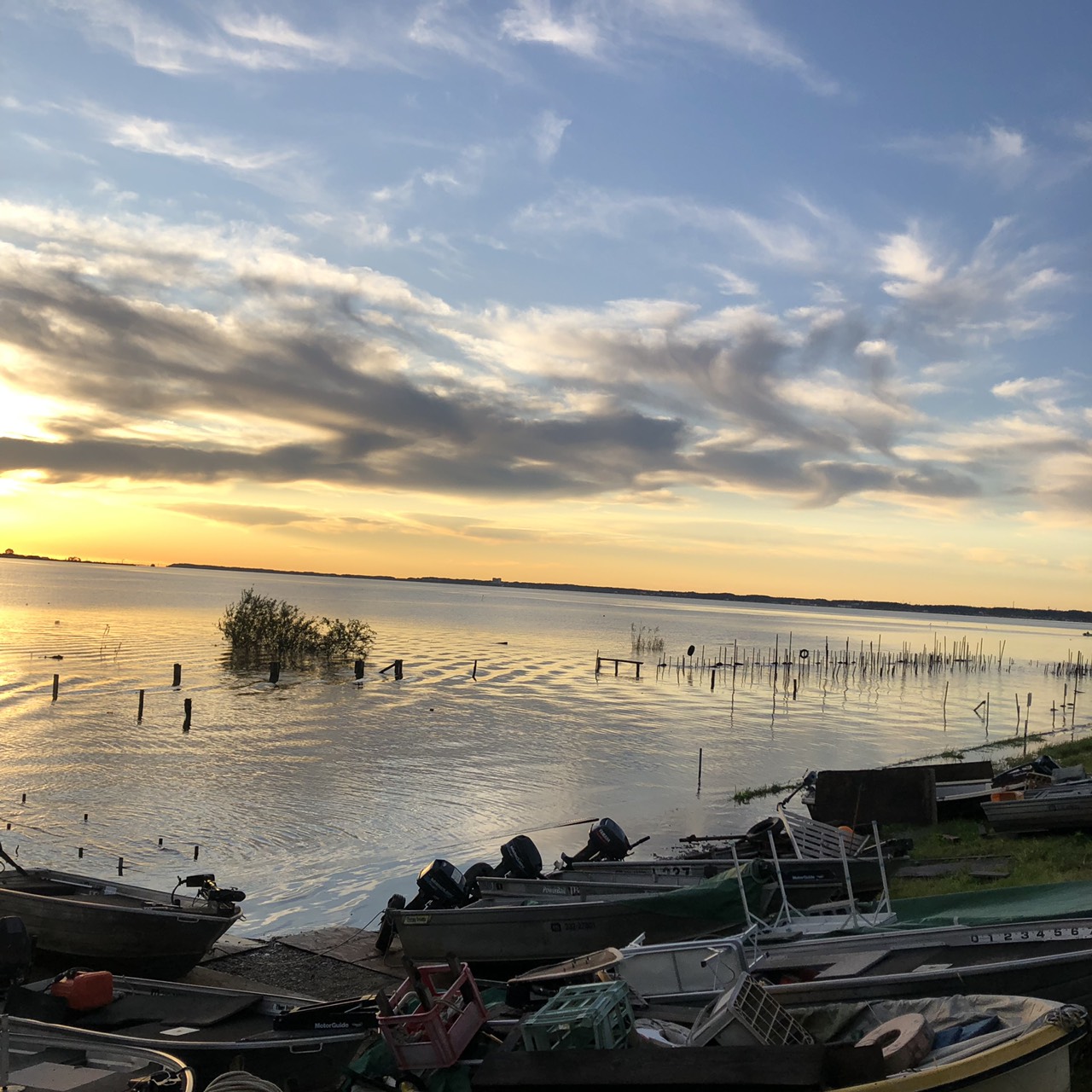 10月26日（土） 現在の霞ヶ浦 霞ヶ浦レンタルボート バスターのぐち