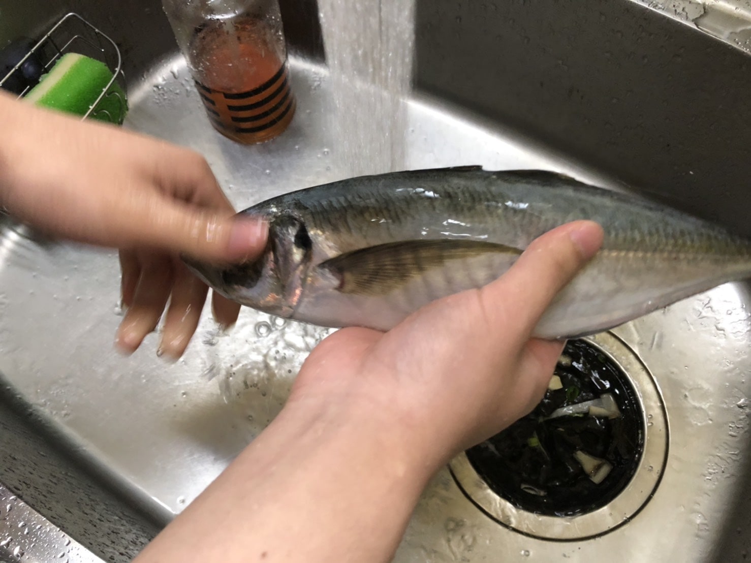 【初心者でも簡単】アジの捌き方について【三枚おろし・刺身・なめろう編】 BASS ZERO