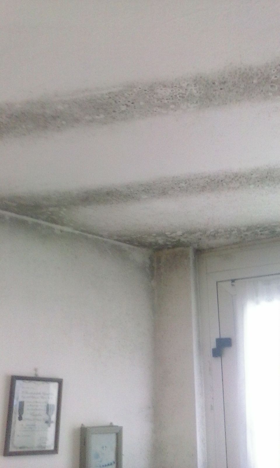 Macchie Umidità Soffitto Bagno The Homey Design