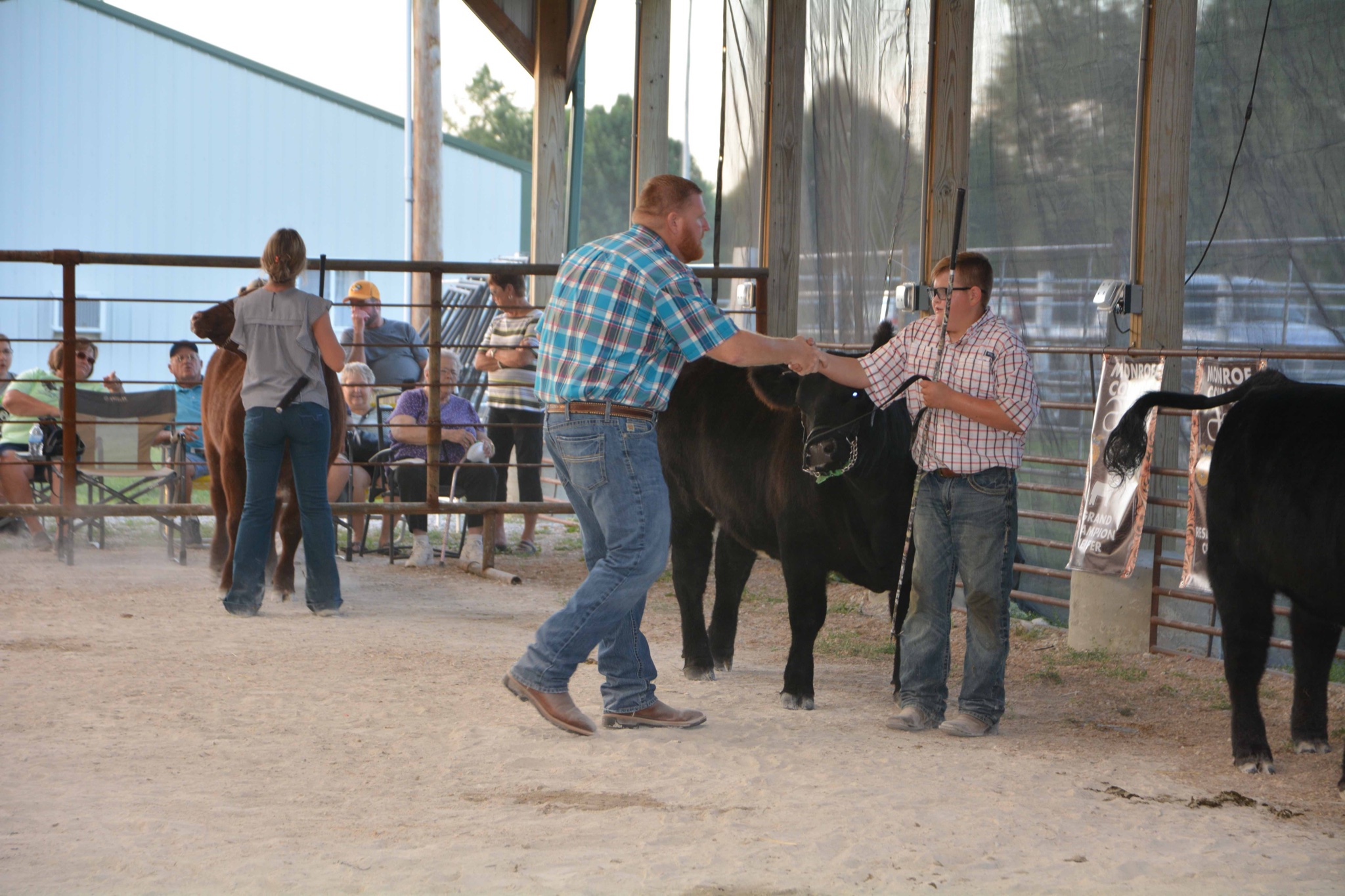 Bastian Show Calves Quality cattle with quality customer service