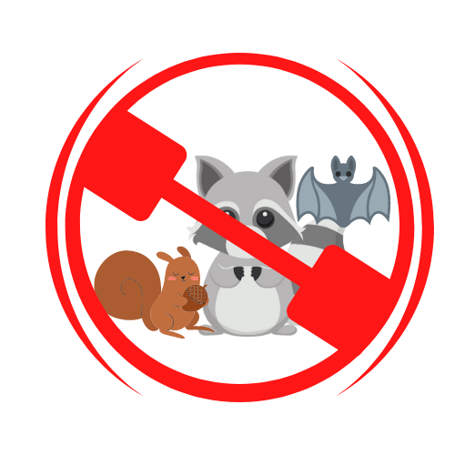 Home Bat Removal Near me