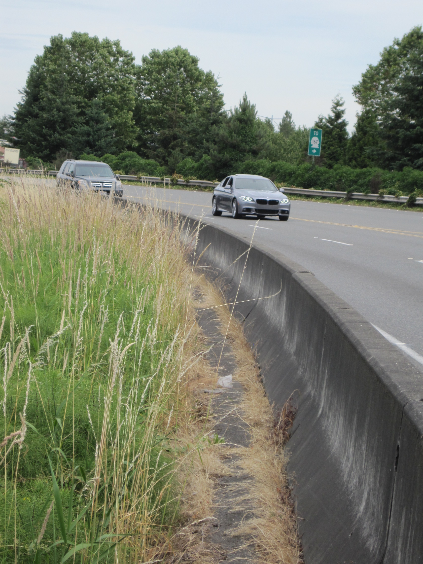 Briscoe Park on the Green River Crows of Arroyos