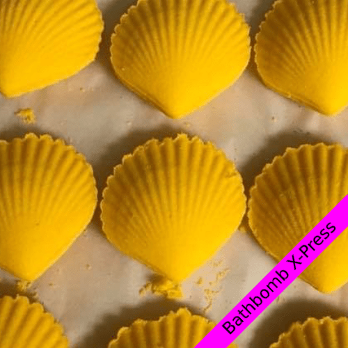 Seashell Mold Bath Bomb XPress Bath Bomb Presses and Molds