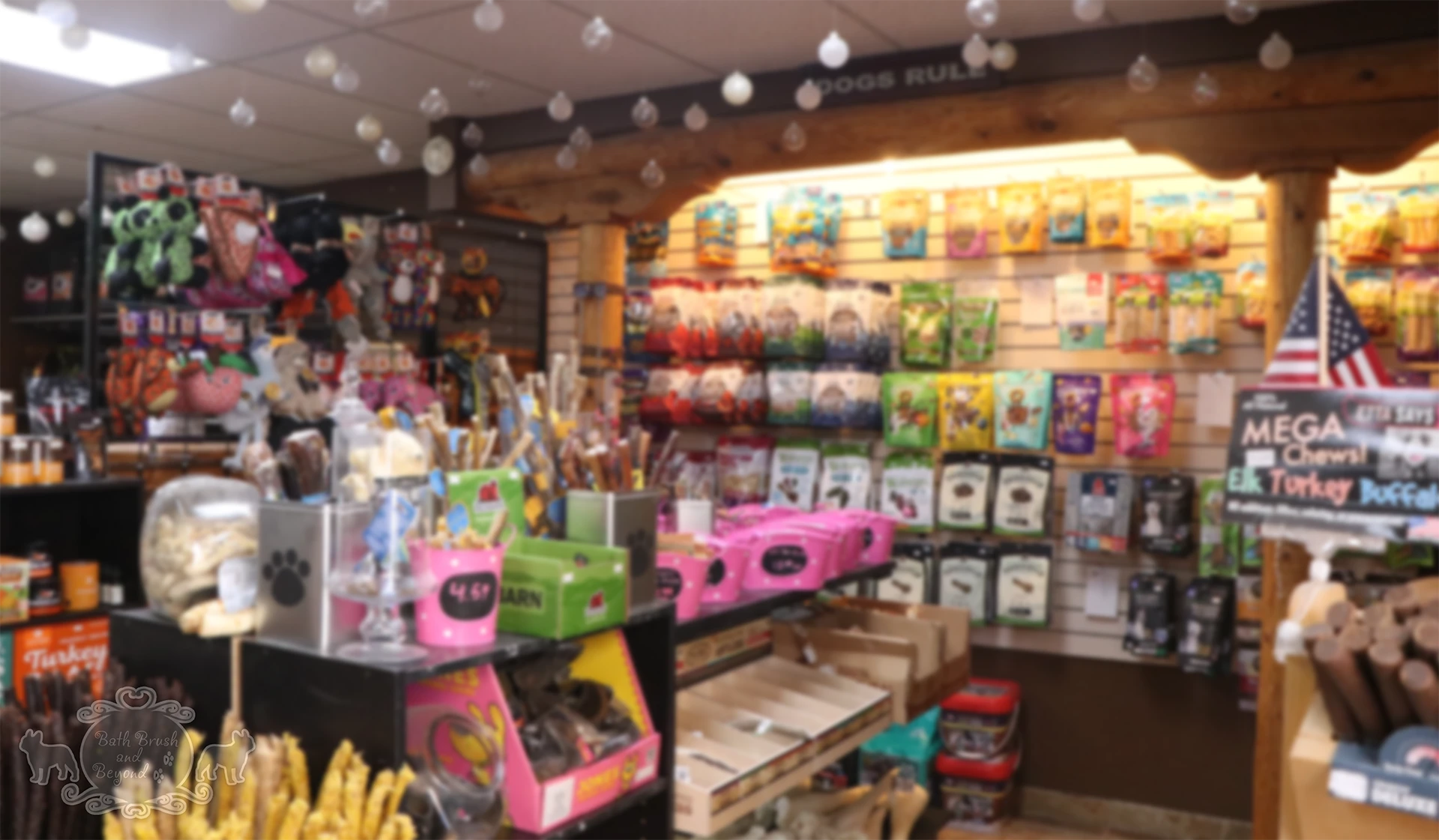 Bath Brush and Beyond Pet Spa, Boutique, and more