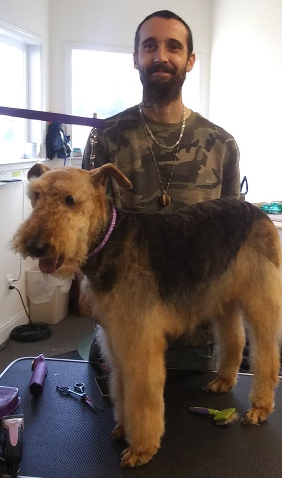 Gallery Bath, Brush and Beyond Grooming