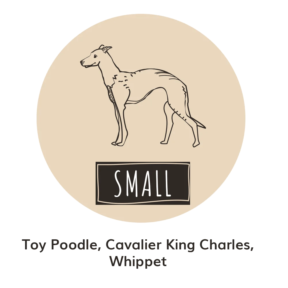 The Bath House Spa Bath Country Pets