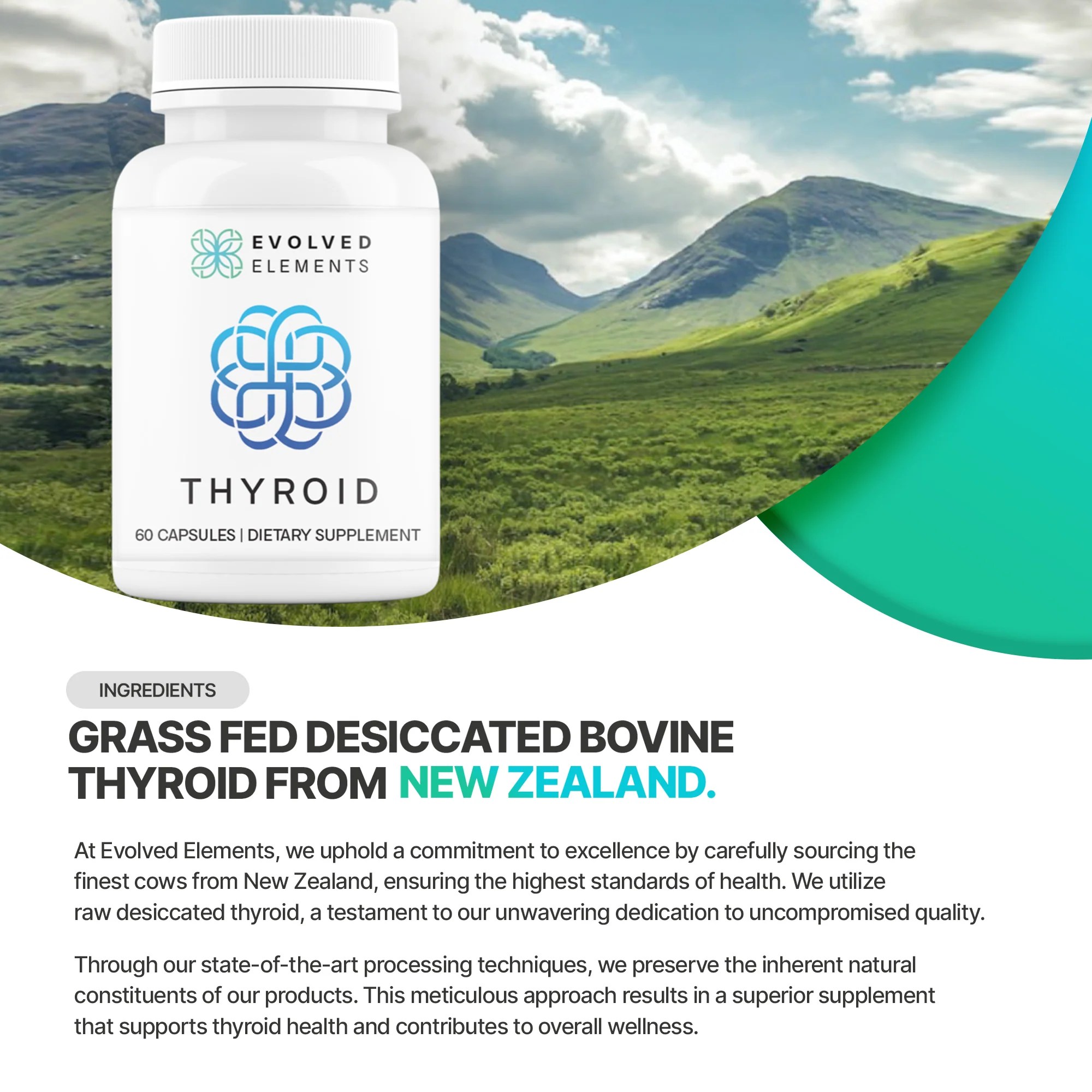 Thyroid Grass Fed Bovine Thyroid from New Zealand Natural Thyroid