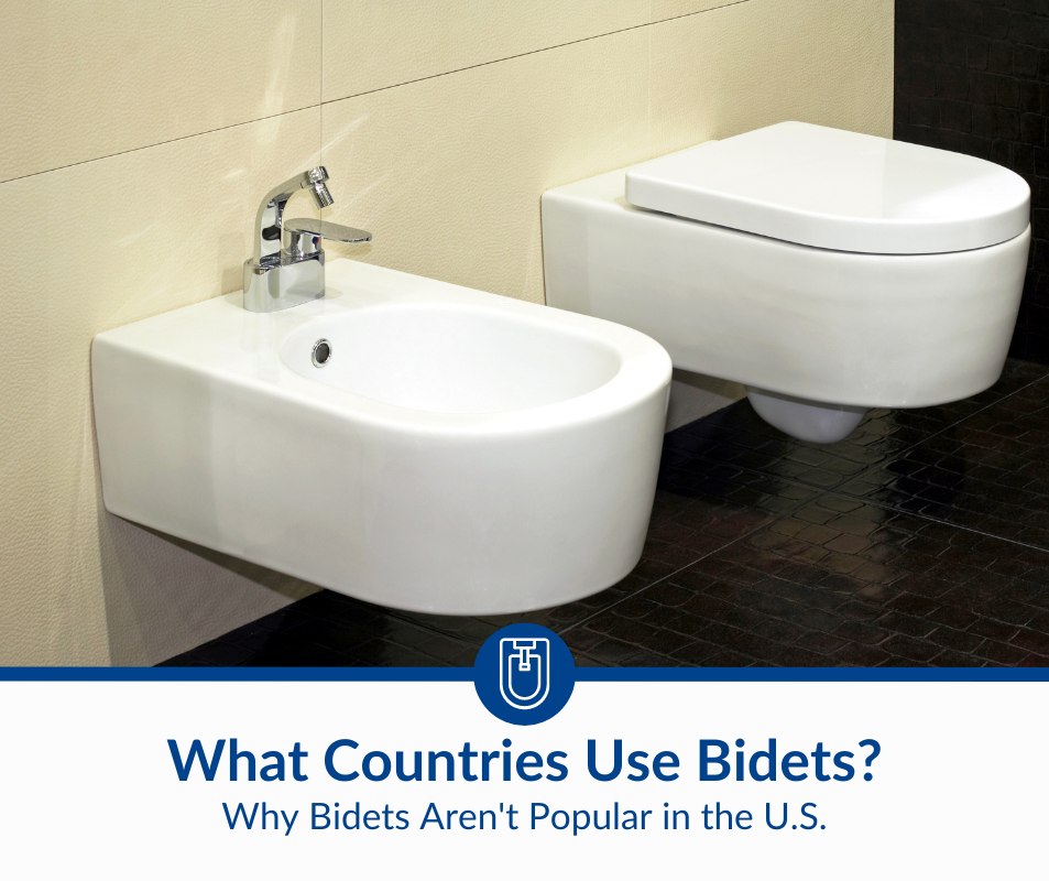 What Countries Use Bidets? (2024) Bathroom Nerd