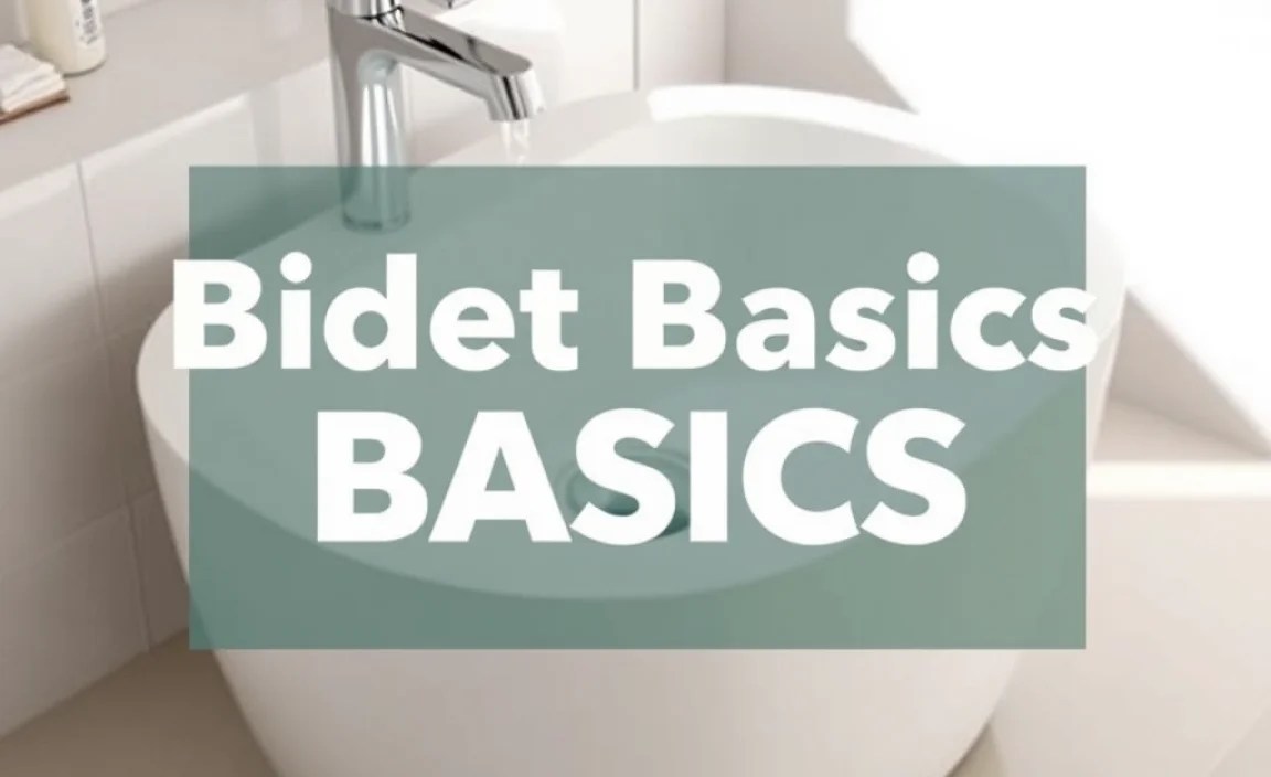 Bidet Basics: How It Works for Beginners Explained