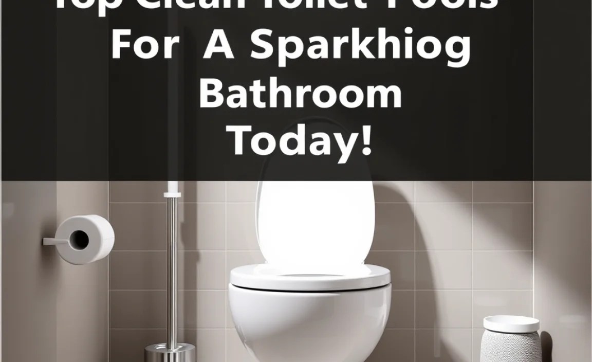 DIY Toilet Cleaning Solutions