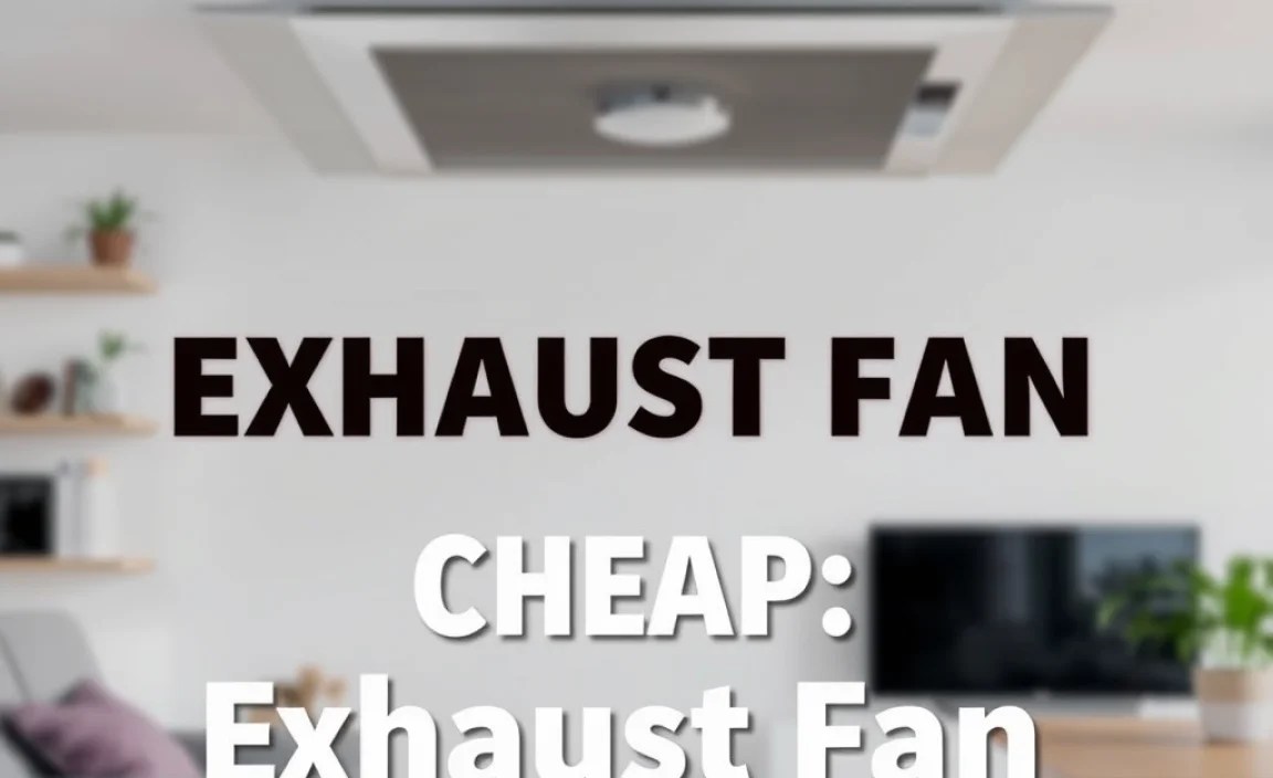 Remove Exhaust Fan Cheap: Essential Guide