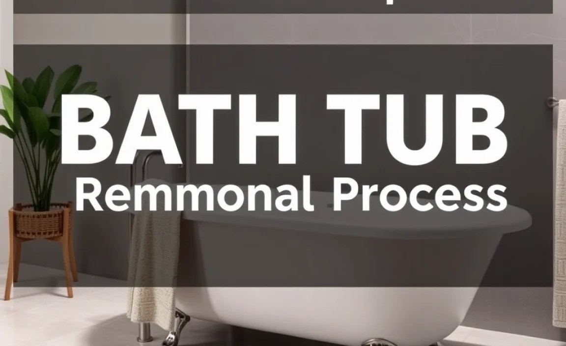 Step-by-Step Bathtub Removal Process
