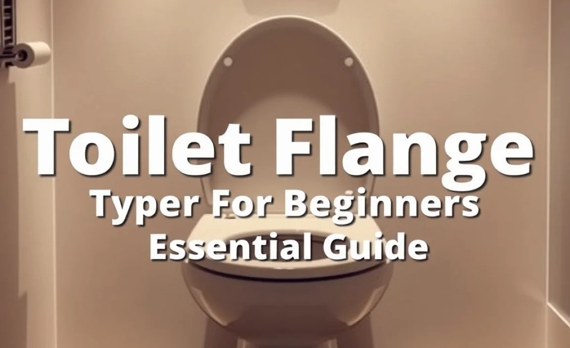 Toilet Flange Types For Beginners: Essential Guide